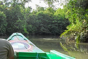 Cruise over de Way Kanan-rivier in Zuid-Sumatra