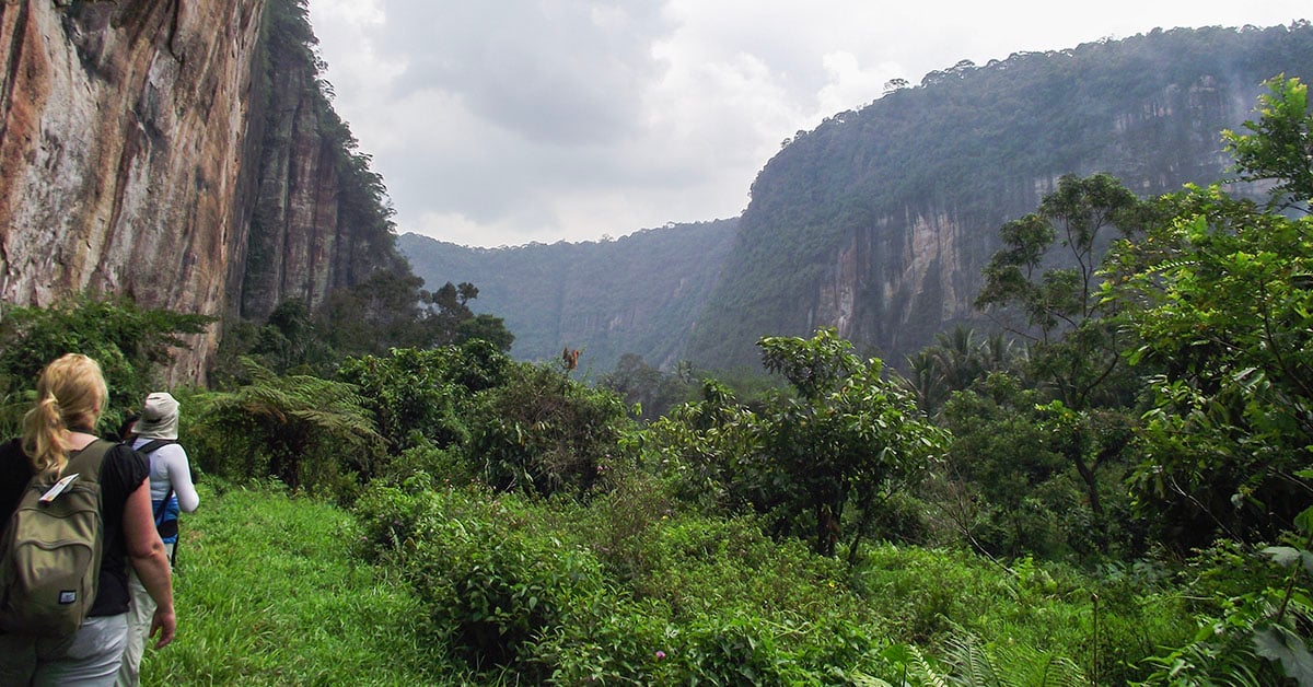 Torenhoge granieten kliffen in de Harau Vallei op Sumatra