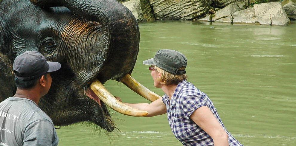 Vrouw geeft voedsel aan een olifant in Tangkahan, Sumatra