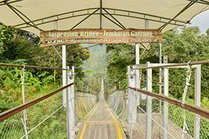 De Rengganis Suspension Bridge in Ciwidey, Java