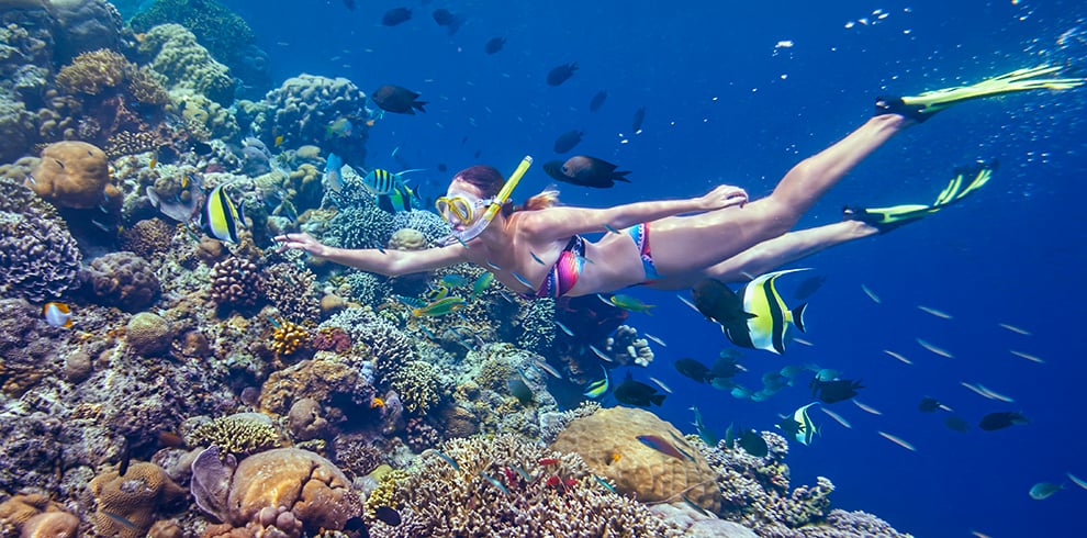 Vrouw snorkelt tussen kleurrijke vissen