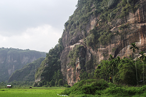 Torenhoge granieten kliffen en rijstvelden in de Harau Vallei op Sumatra