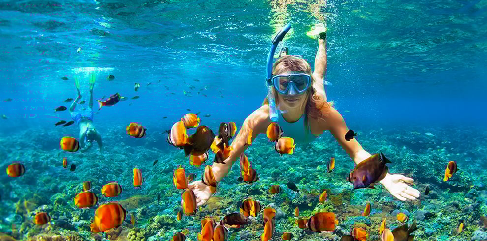 Snorkelen bij Menjangan Island op Bali