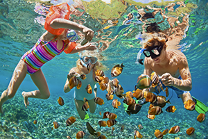 Familie aan het snorkelen in het heldere water bij Menjangan Island, Bali