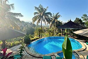 Het zwembad, met fantastisch uitzicht, van het Cepik Villa Sidemen