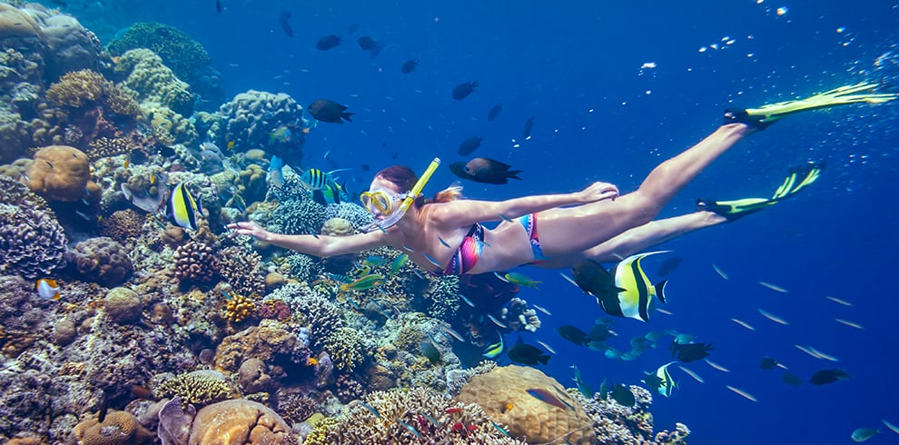 Vrouw snorkelt bij Menjangan Island op Bali