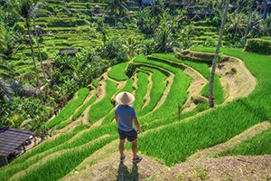 Man loopt door de Tegalalang rijstterrassen in Ubud, Bali