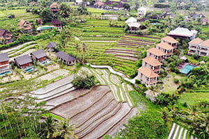 Het Alamdhari Resort is prachtig gelegen tussen de rijstterrassen in Sidemen, Bali