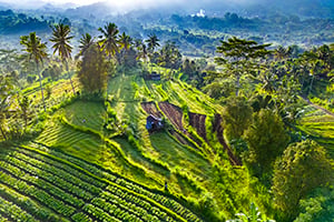Trekking door de rijstterrassen in Sidemen, Bali