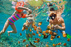 Familie aan het snorkelen bij Menjangan Island op Bali