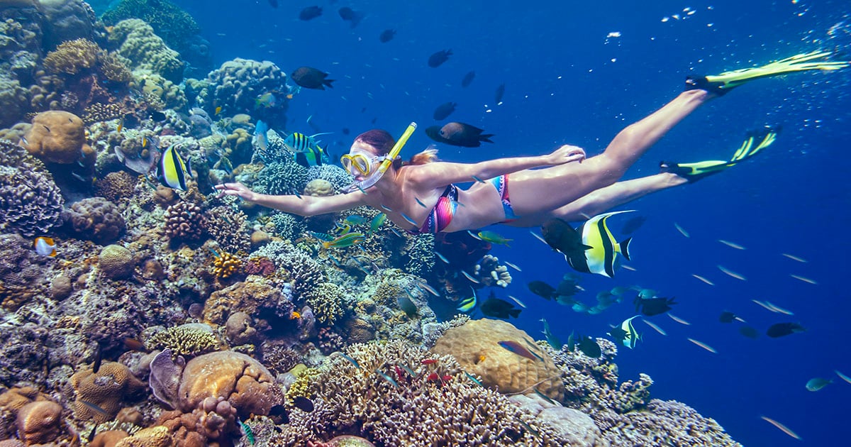 Vrouw snorkelt boven een kleurrijk koraalrif tussen tropische vissen bij Apo Island nabij Dumaguete.
