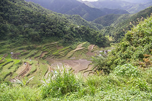 De rijstterrassen van Banaue in de Filipijnen