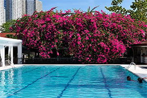 Het zwembad van het Montebello Hotel op Cebu, Filipijnen