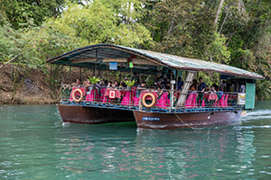 De Loboc River Cruise op Bohol, Filipijnen