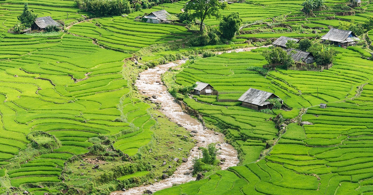 Luchtfoto van rijstterrassen in Ta Van Village bij Sapa, Noord-Vietnam.
