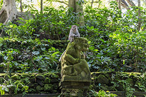 Een makaak op een beeld in het Monkey Forest in Ubud, Bali
