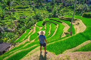 Een man loopt door de rijstterrassen van Tegalalang, Ubud
