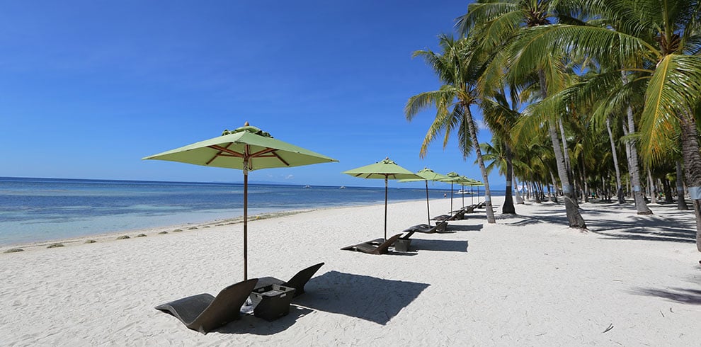 Parelwit strand op Cebu met zacht wuivende palmbomen langs een helderblauwe zee.