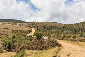 Toeristen wandelen door het Horton Plains National Park