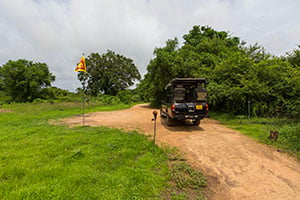 Jeepsafari door het Wilpattu National Park in Sri Lanka