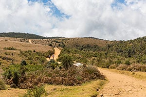 Toeristen wandelen door het Horton Plains National Park