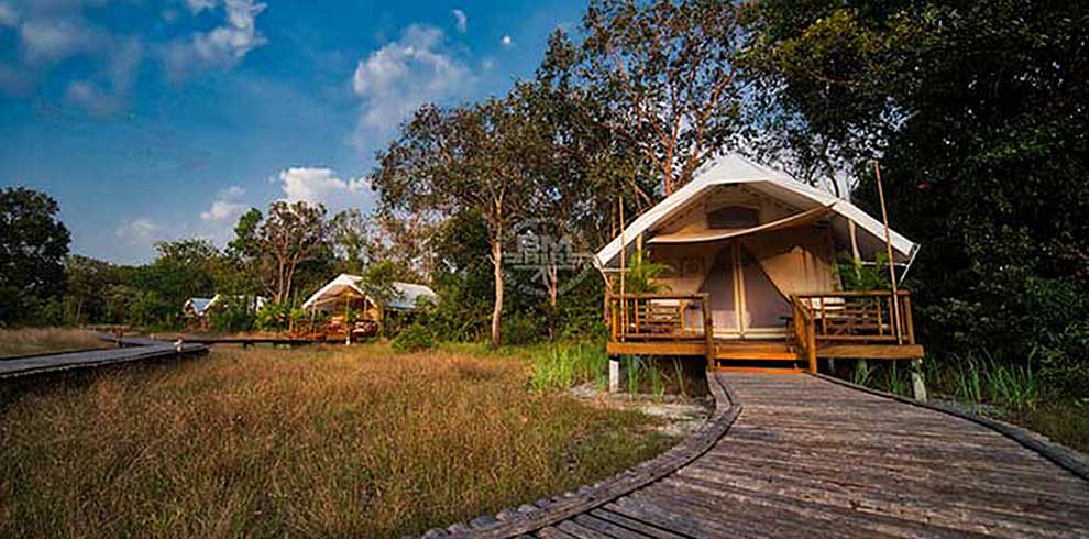 Cardamom Tented Camp