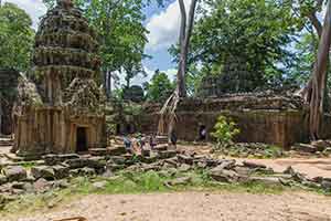 Siem Reap - Ta Prohm