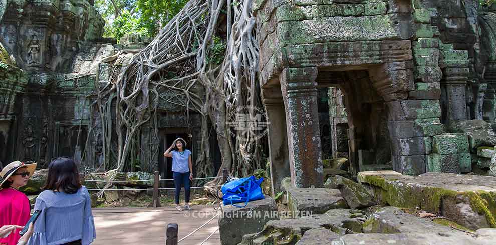 Siem Reap - Ta Prohm