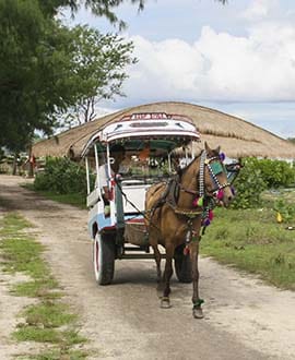 Gili Meno - Indonesië