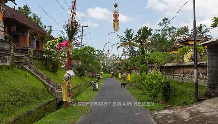 Ubud algemeen