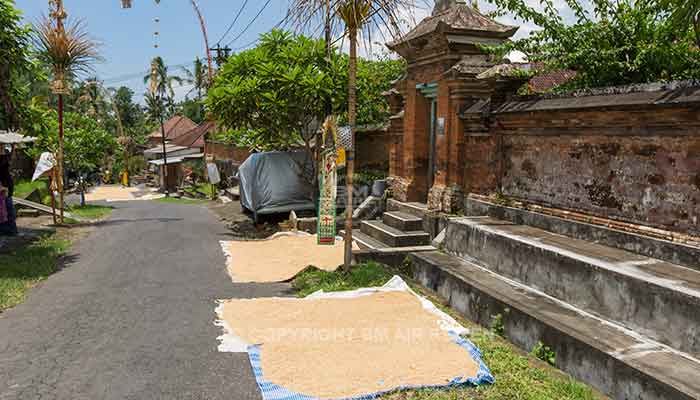 Ubud algemeen