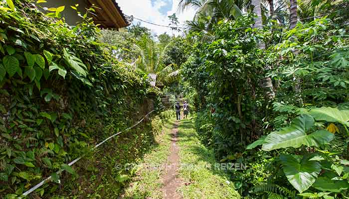 Ubud algemeen