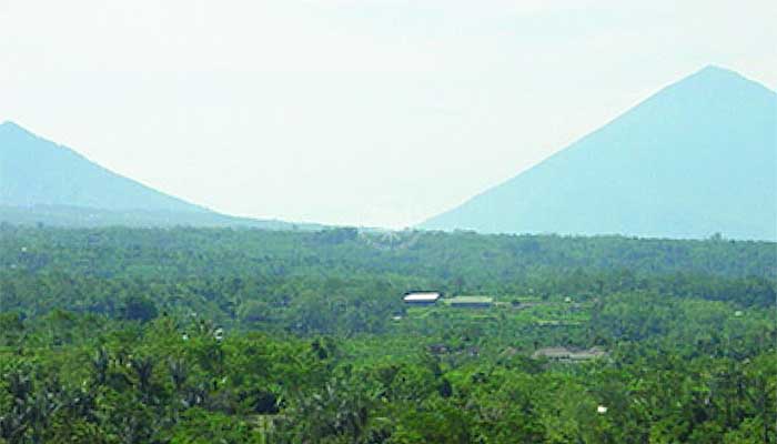 Bali - Petang