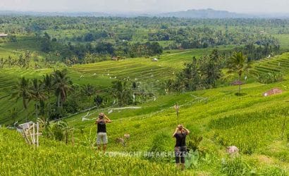Bali - Jatiluwih rijstterrassen
