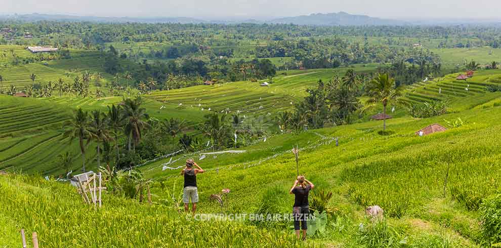 Bali Ontdekkings Tour