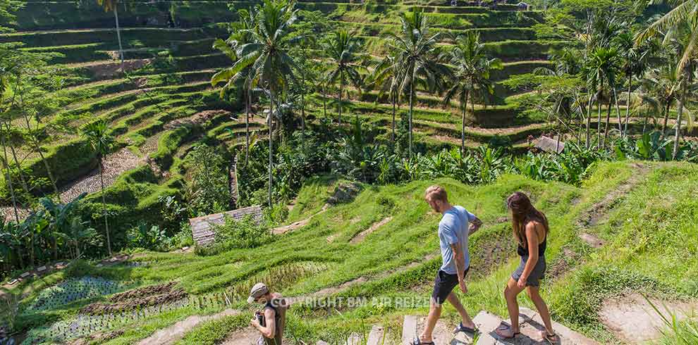 Ubud - Tegalalang rijstterrassen