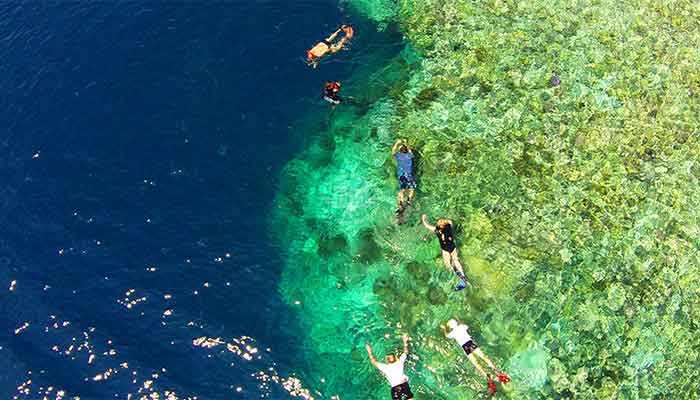 Pemuteran - snorkeltour