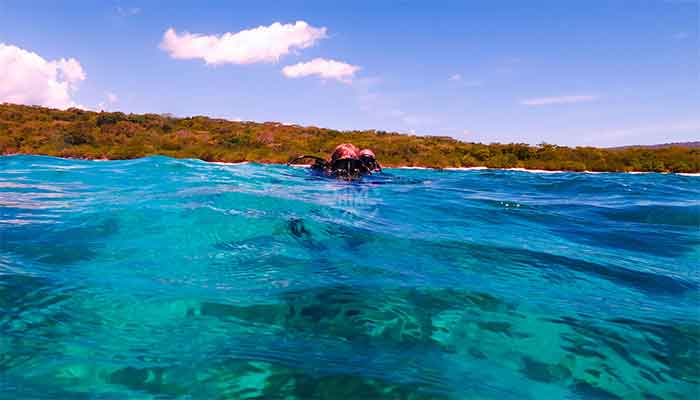 Pemuteran - snorkeltour