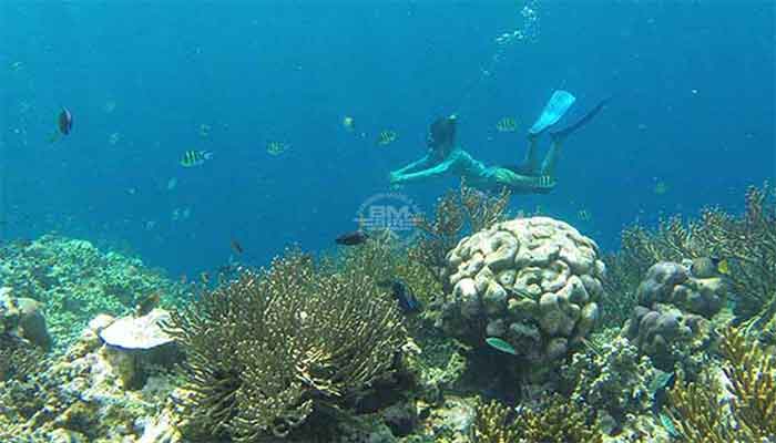 Pemuteran - snorkeltour