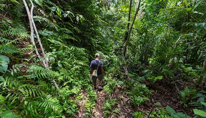 Pemuteran - trekking bali barat national park