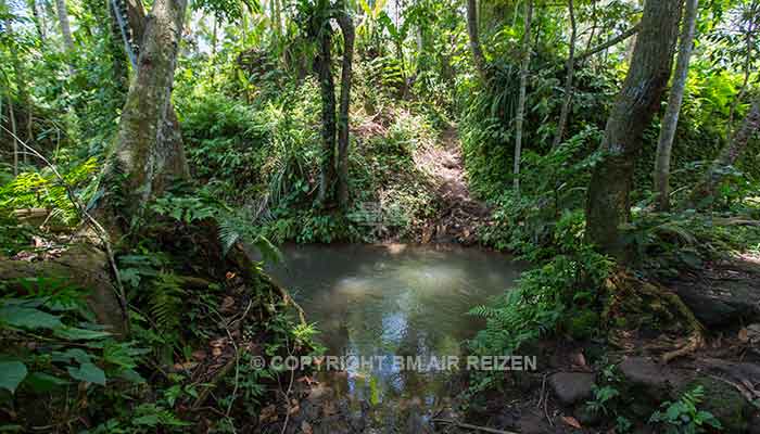 Pemuteran - trekking bali barat national park