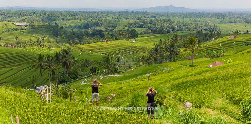 Bali - Jatiluwih rijstterrassen