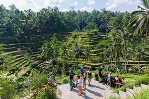 Ubud - Tegalalang rijstterrassen