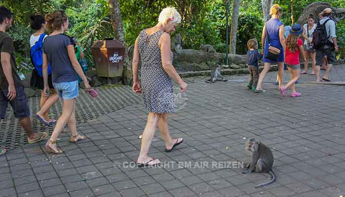 Ubud - Apenbos