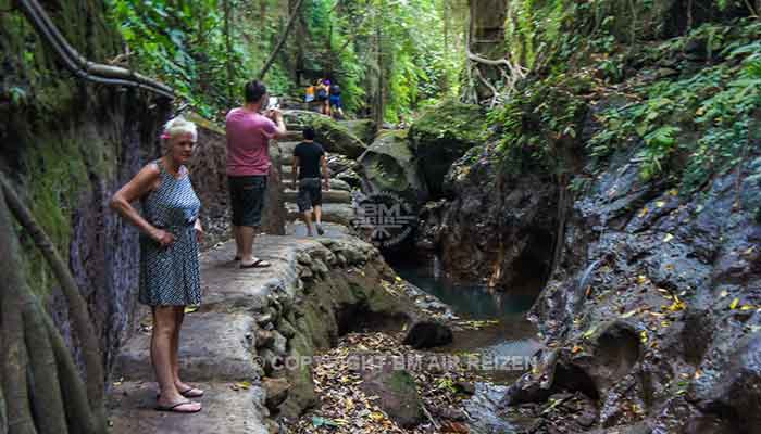 Ubud - Apenbos