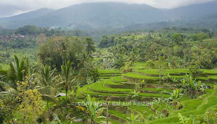 Ubud - jatiluwih rijstterrassen