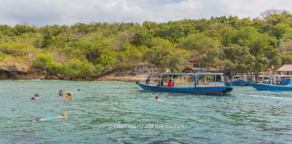 Pemuteran Tour - Menjangan Island