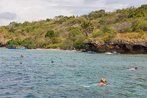 Menjangan Island - snorkelen
