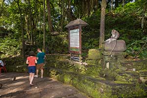 Ubud - Monkey Forest