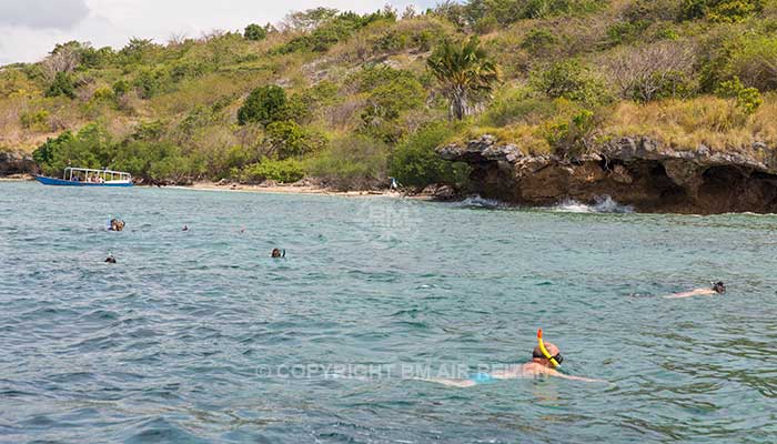 Snorkelen menjangen island